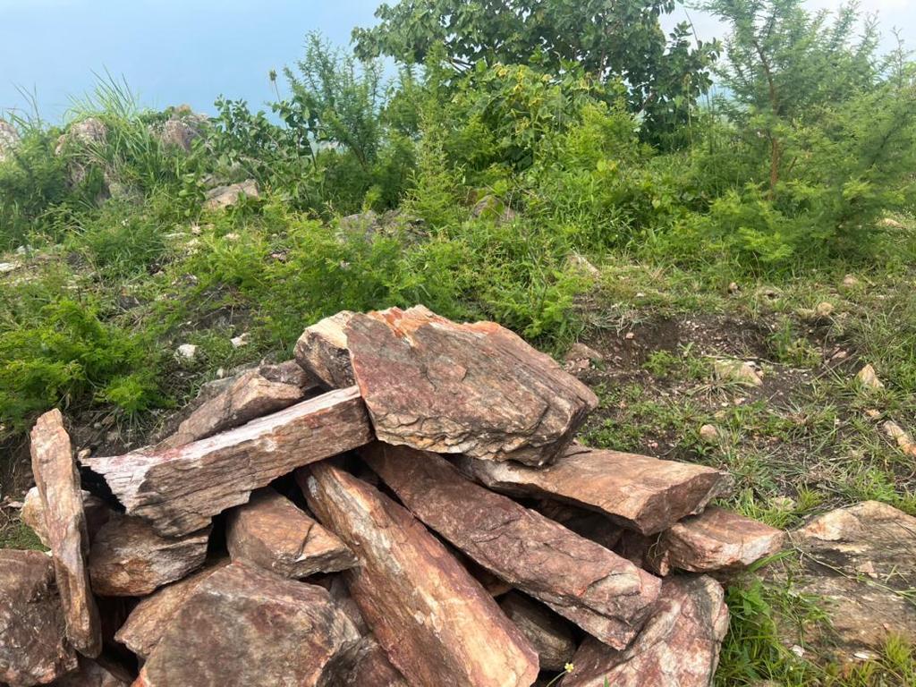 Iron ore 99.99%